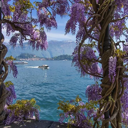 Apollo Villa